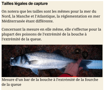 Capture 3